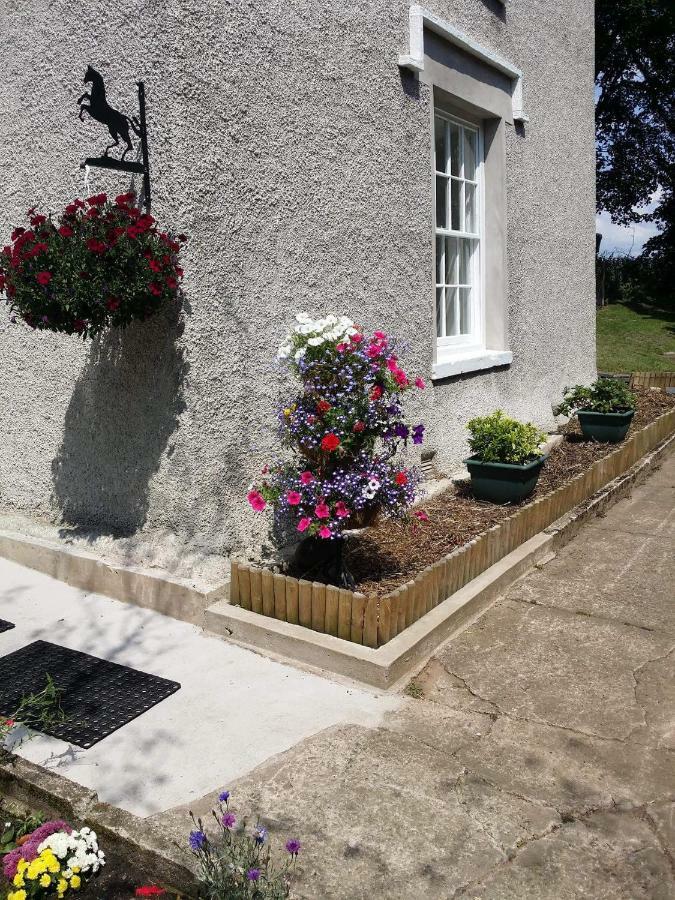 Roosecote Guest House Barrow-in-Furness Εξωτερικό φωτογραφία